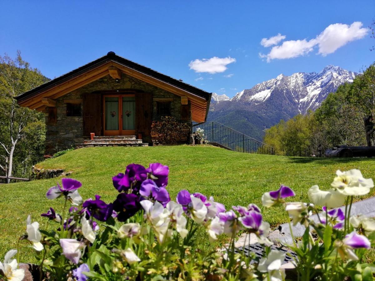 Chalet Cuore Selvatico Monno Zewnętrze zdjęcie